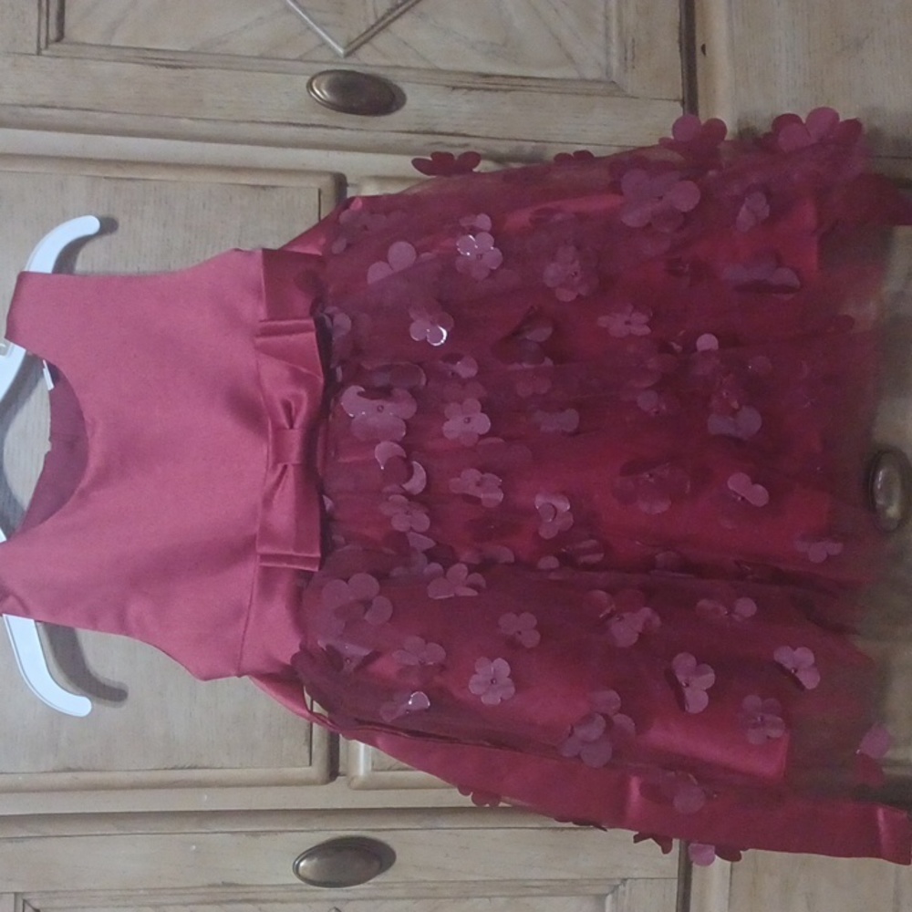 Nwot toddler crimson floral overlay dress sz 2/3